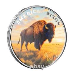 1 oz Silver The Wild American Bison. 999 Silver Color Round in Certi-Lock