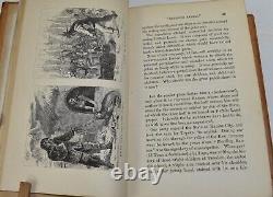 1872 BUFFALO LAND WEBB Railroad Indians Bison Sportsmen Sarcastic Humor VG 1st