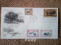 1901 $10 Ten Dollar Large-size Banknote (nickname Of Bison), Vf+/vf++, A Gift Set