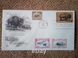 1901 $10 Ten Dollar Large-size Banknote (nickname Of Bison), Vf+/vf++, A Gift Set