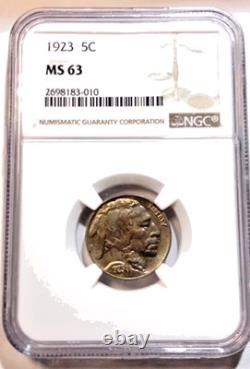 1913 Buffalo Nickel NGC MS 63 Darker Blue with Pastels Very Pleasing