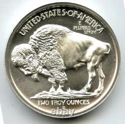 1913 Native American Indian + Buffalo Bison 999 Silver 2 oz Art Medal Round R667