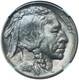 1915 Buffalo Nickel MS66+ NGC Premium Gem Early Buffalo