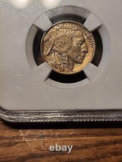 1917 Buffalo Nickel Gem Bu