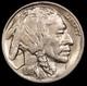 1919 Buffalo Nickel- DDO- FS 101- CHOICE UNC UNCIRCULATED SVN-628