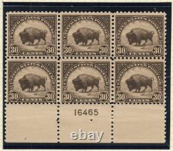 1923 BUFFALO BISON 30c Sc 569 MNH with original gum, plate block of 6