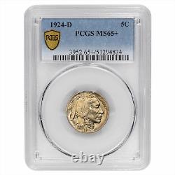 1924-D Buffalo Nickel 5c PCGS MS 65+