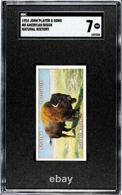 1924 John Player & Sons American Bison #8 Natural History SGC 7