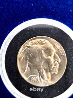 1928 D Buffalo Nickel Full Horn Detail, Collector's Treasure