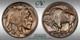 1931-S 5c CAC MS 64+ NICE HIGH-END GEM BUFFALO NICKEL