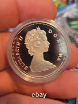 1982 Canada Proof Silver Dollar Regina Centennial Bison Skull Beauty 1982 Canada Proof Silver Dollar Regina Centennial Bison Skull Beauty