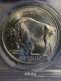 2001-D American Buffalo Commemorative Silver Dollar PCGS MS69 Black Diamond
