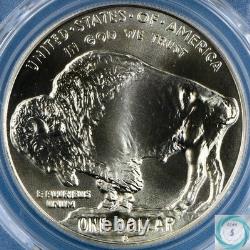2001-D American Buffalo Commemorative Silver Dollar PCGS MS70 JEF Wet Sig Lbl