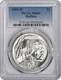 2001-D Buffalo Commemorative Silver Dollar MS69 PCGS