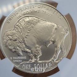 2001-D Buffalo Silver Dollar MS69 NGC