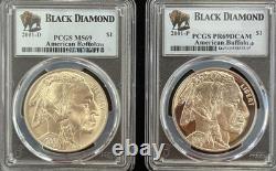 2001 P & D $1 Black Diamond Am. Buffalo 2 coin set