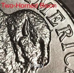 2005 ANACS MS64 Two-Horned Bison Die Chip Bison Nickel Mint Error Rare