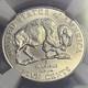 2005-D 5C SPEARED BISON Nickel MS65