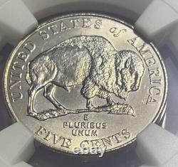 2005-D 5C SPEARED BISON Nickel MS65