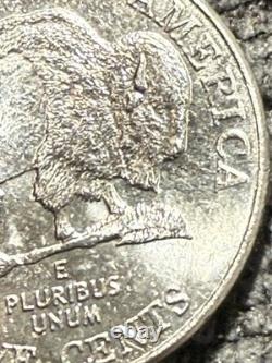 2005-D 5c SPEARED BISON TWO HORN, WOUNDED Nickel #005