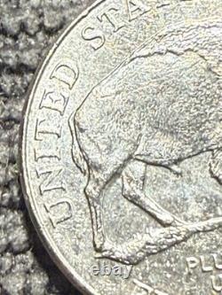 2005-D 5c SPEARED BISON TWO HORN, WOUNDED Nickel #005