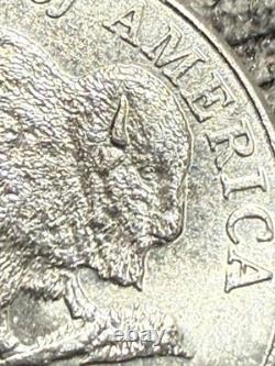 2005-D 5c SPEARED BISON TWO HORN, WOUNDED Nickel #005