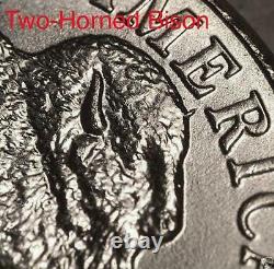 2005 D ANACS MS65 Two Horned Bison Die Chip Nickel Mint Error Very Rare