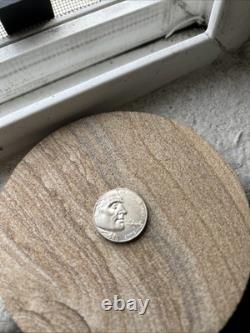 2005 D Jefferson Bison Nickel-dye Strikes By Nose