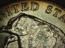2005-D Jefferson nickel Double-Speared Bison Die Gouge DDO rare 5c gem