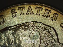 2005-D Jefferson nickel Double-Speared Bison Die Gouge DDO rare 5c gem
