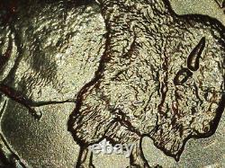 2005-D Jefferson nickel Double-Speared Bison Die Gouge DDO rare 5c gem