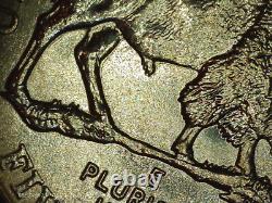 2005-D Jefferson nickel Double-Speared Bison Die Gouge DDO rare 5c gem