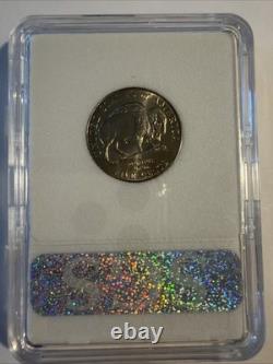 2005-D T1 Satin American Bison Nickel