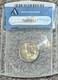 2005-P 5C Bison DETACHED LEG, ANACS MS65