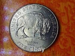 2005 P Bison/ buffalo Nickel Multiple Errors, die Cracks. Chin drooling chips