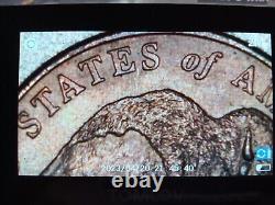 2005-P Jefferson Buffalo Bison Nickle 5 c Five Cent Coin Nickel Rare Liberty