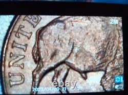 2005-P Jefferson Buffalo Bison Nickle 5 c Five Cent Coin Nickel Rare Liberty