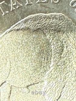 2005 P Jefferson Nickel Speared Bison/Buffalo