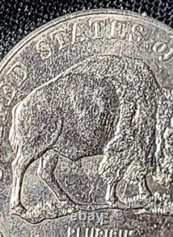 2005 P Speared Bison Jefferson Nickel Buffalo Error Nickels