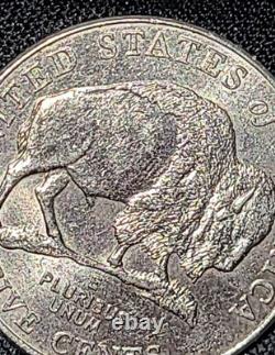 2005 P Speared Bison Jefferson Nickel Buffalo Error Nickels
