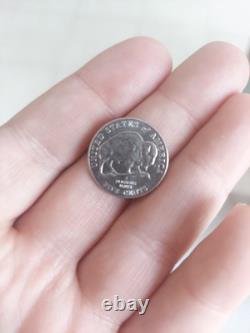 2005 buffalo nickel Coin