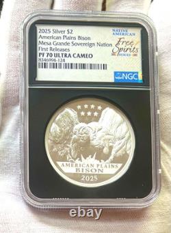 2025- 2oz Silver Coin Mesa Grande Sov Nation $2 American Plains Bison NGC PF70