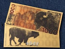2025 American Bison Aurum 1000mg 24k Gold Bill