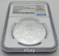 2025 American Plains Bison Mesa Grande Nation 1 oz. 999 Fine Silver NGC MS70 FR
