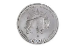 2025 Mesa Grande John Mercanti Designed Native American Bison 1 oz Silver BU