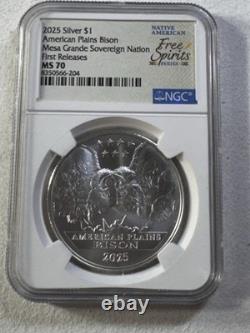 2025 Mesa Grande Nation $1 American Plains Bison Graded MS 70 by NGC