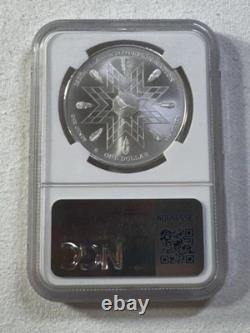 2025 Mesa Grande Nation $1 American Plains Bison Graded MS 70 by NGC