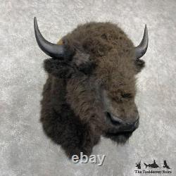 #24412 E Reproduction Bison Taxidermy Shoulder Mount For Sale