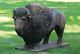36 Buffalo Outdoor Concrete Garden Statue Western Great Water Buffalo Bison