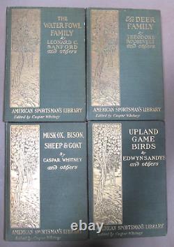 4 American Sportsman Books Game Birds, Deer, Waterfowl & Musk-Ox Bison 1902-04